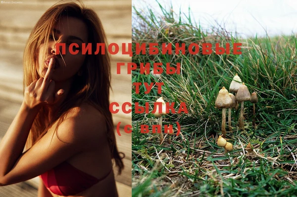 гашиш Нягань