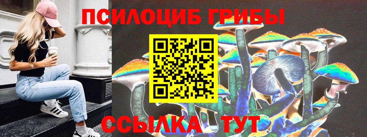 Псилоцибиновые грибы Magic Shrooms Ялуторовск