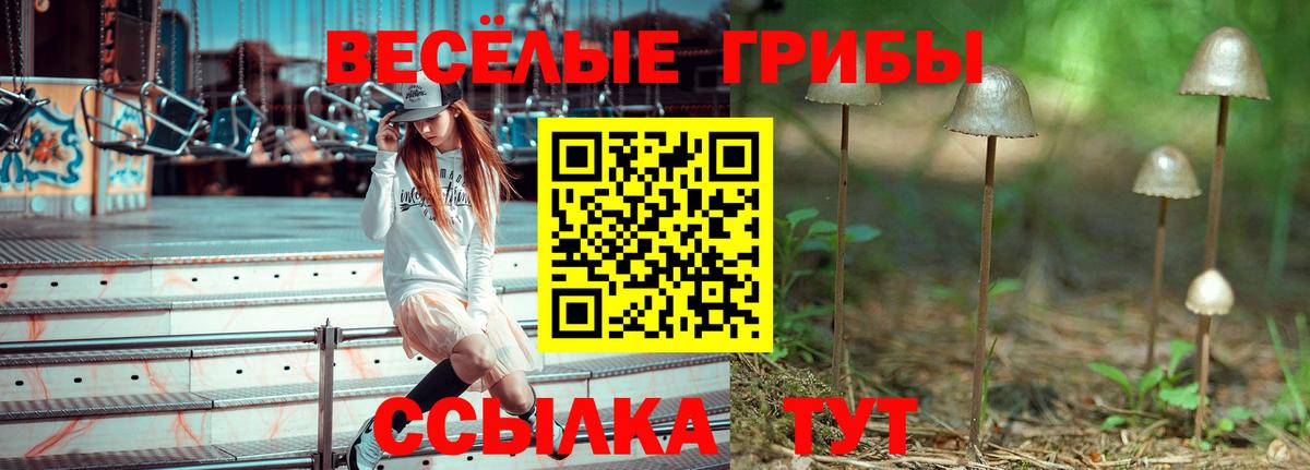 Галлюциногенные грибы Cubensis  Псилоцибиновые грибы Psilocybe  Ялуторовск  Вход с VPN 